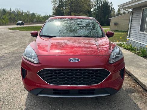 Used 2020 Ford Escape SE AWD/4WD image 4