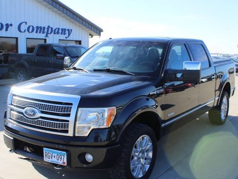Used 2011 Ford F150 Platinum image 1