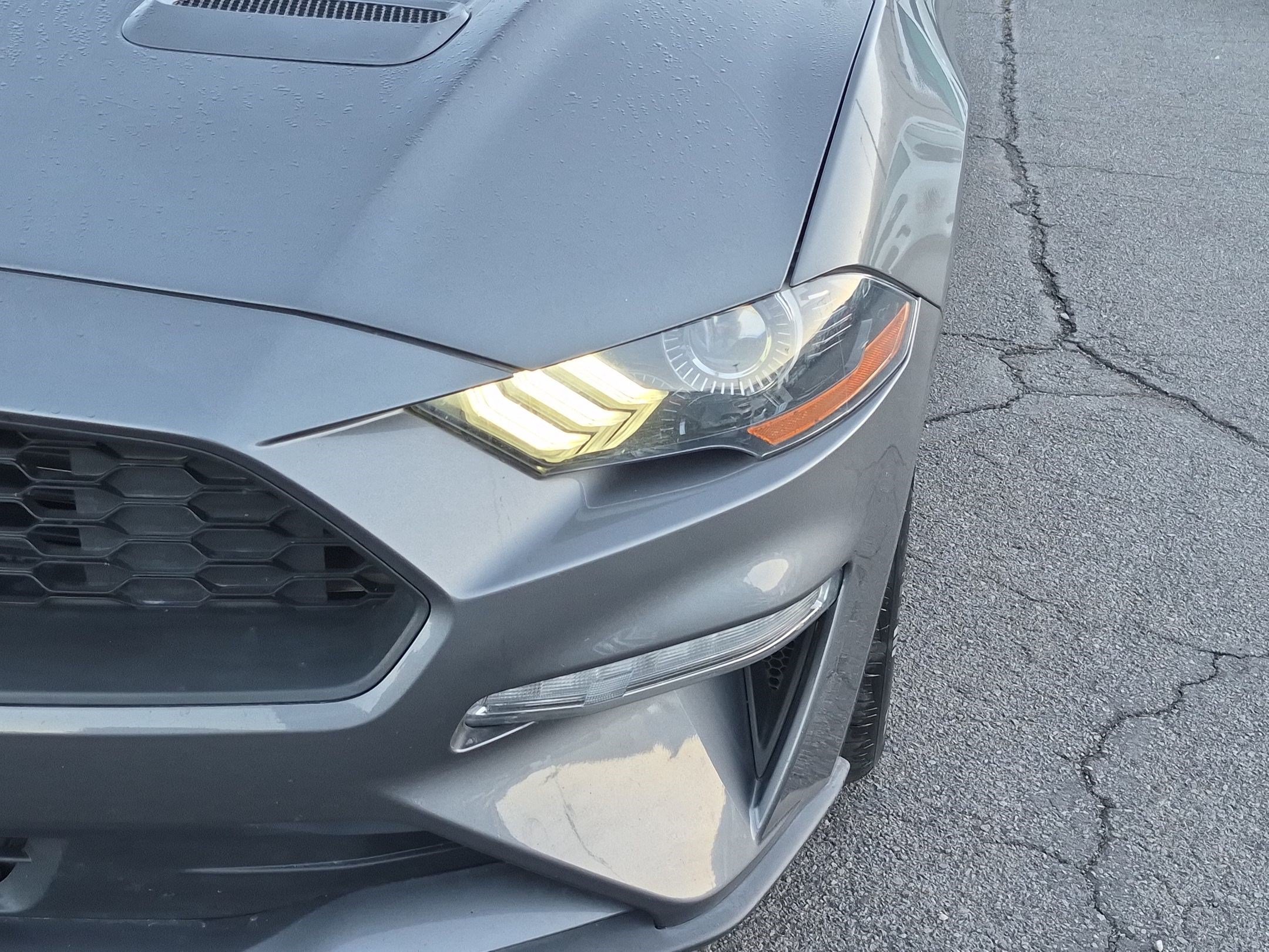 Used 2021 Ford Mustang Coupe RWD image 13