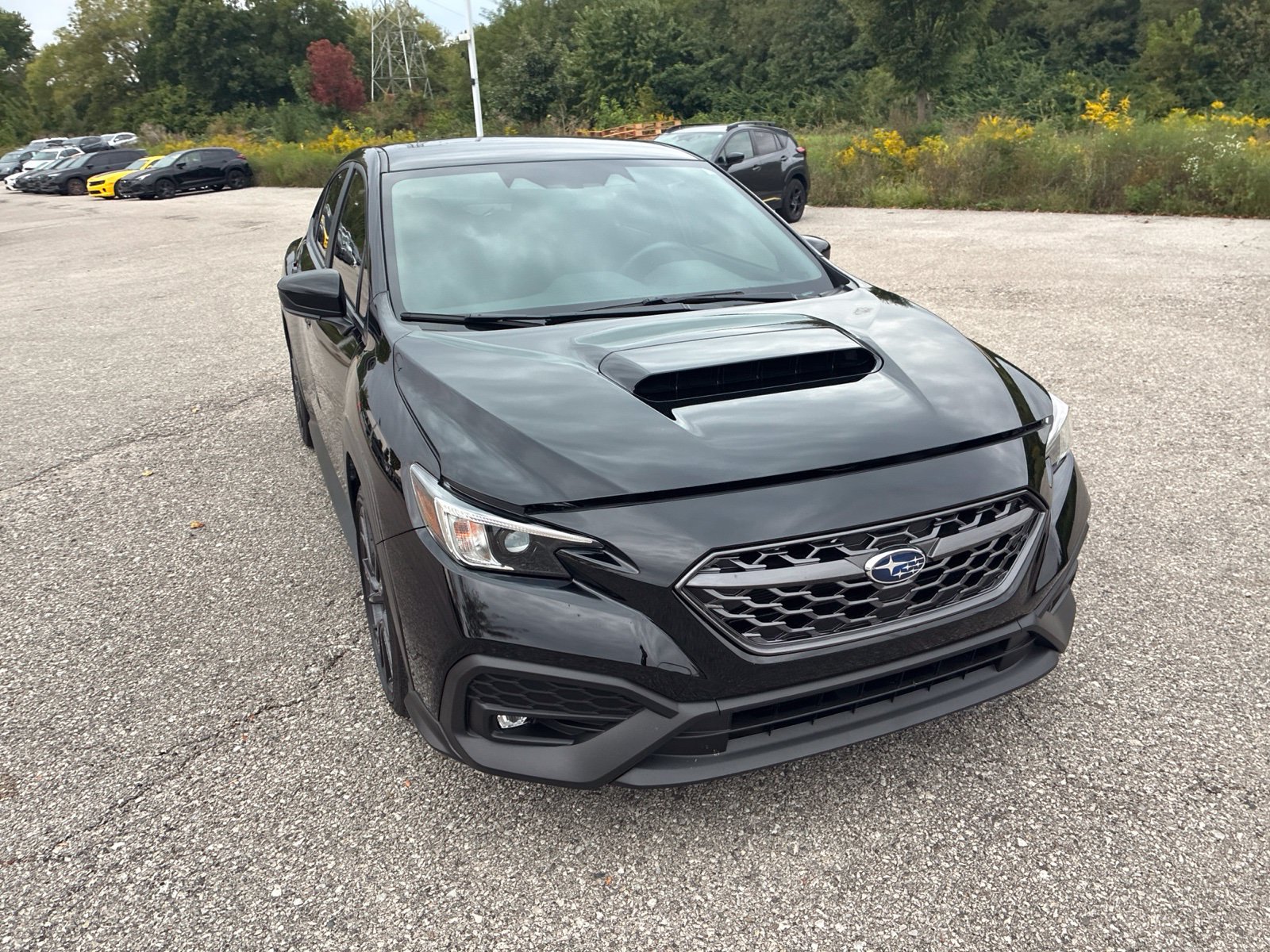 Used 2024 Subaru WRX Premium AWD/4WD image 9