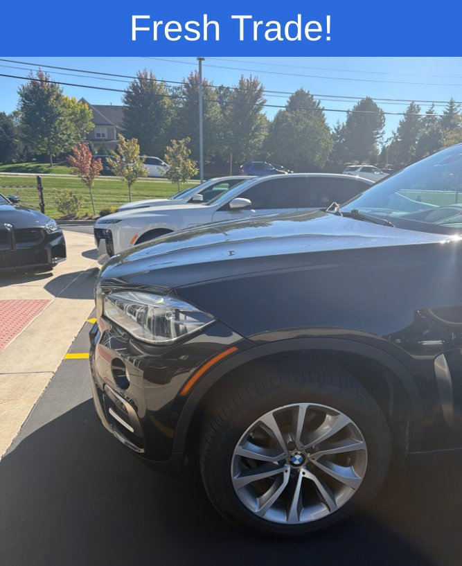 Used 2019 BMW X6 xDrive35i w/ Lighting Package AWD/4WD image 3