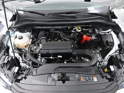 Used 2024 Ford Escape ST-Line w/ Tech Pack #1 image 22