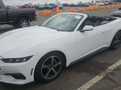 Used 2024 Ford Mustang Premium image 7