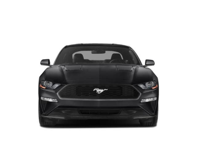 Used 2019 Ford Mustang Coupe RWD image 7