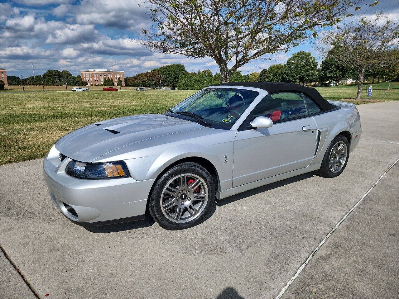 Used 2003 Ford Mustang Cobra RWD image 3