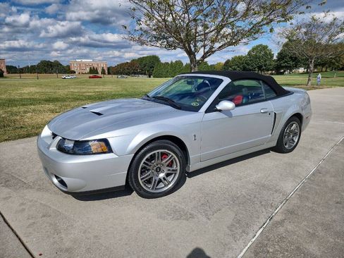 Used 2003 Ford Mustang Cobra RWD image 3