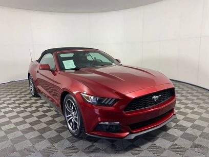 Used 2015 Ford Mustang Premium w/ Equipment Group 201A