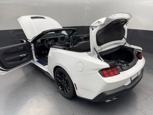 New 2025 Ford Mustang GT Premium w/ Mustang Nite Pony Package RWD image 19