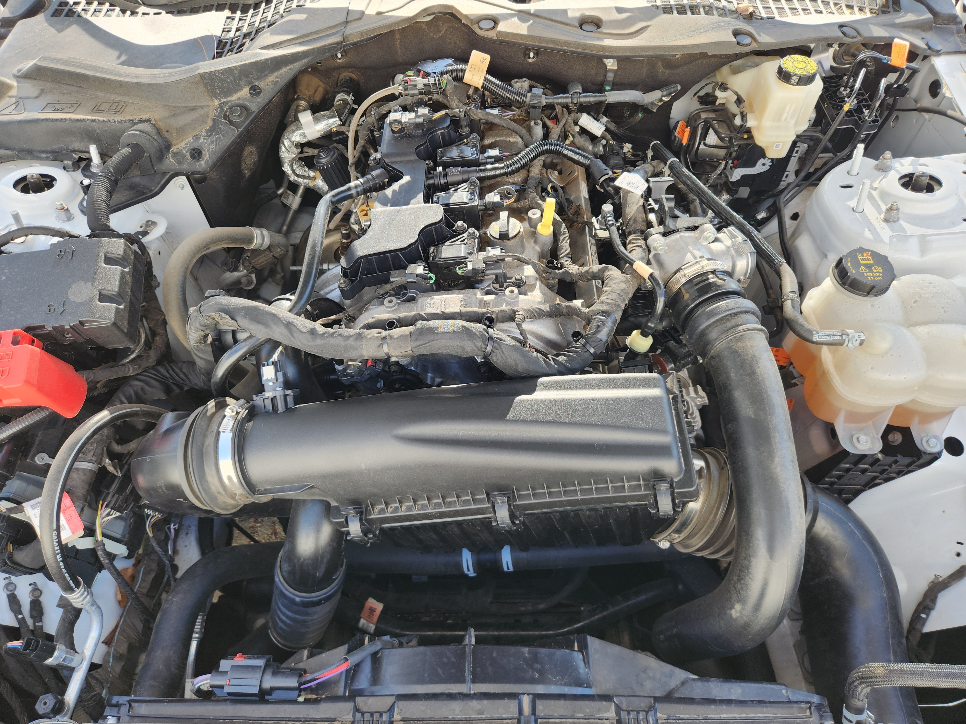 Used 2024 Ford Mustang Coupe RWD image 31