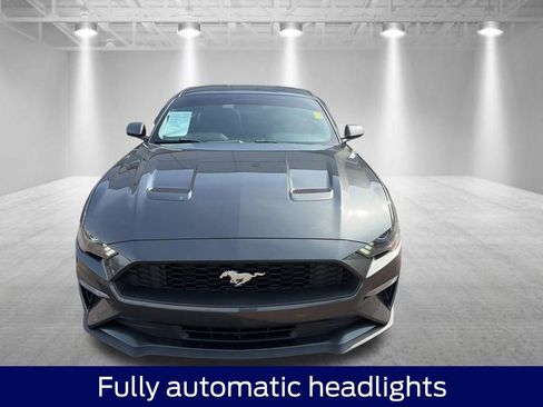 Used 2019 Ford Mustang Coupe RWD image 10