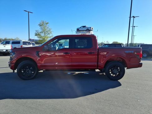 New 2025 Ford F150 STX w/ STX Black Appearance Package image 6