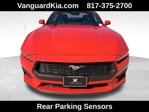 Used 2024 Ford Mustang Premium image 5