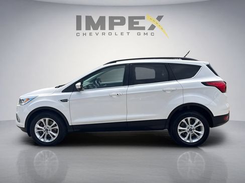 Used 2019 Ford Escape SEL AWD/4WD image 2