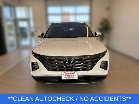 Used 2024 Hyundai Tucson Limited AWD/4WD image 7