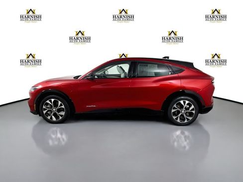 Used 2021 Ford Mustang Mach-E Premium AWD/4WD image 4