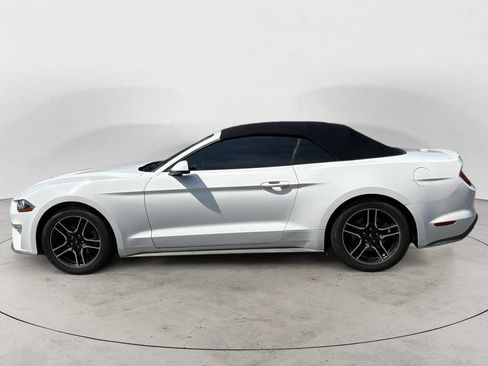 Used 2019 Ford Mustang Premium RWD image 6