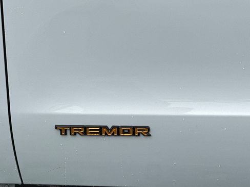 New 2025 Ford Expedition Tremor image 29