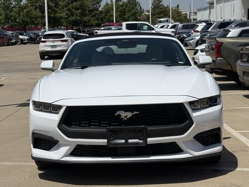 Used 2024 Ford Mustang Premium RWD image 6