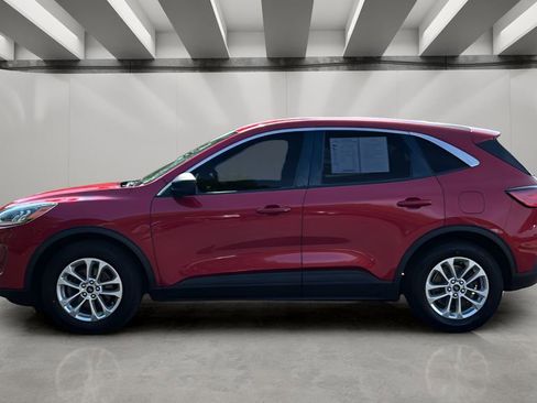 Used 2022 Ford Escape SE w/ Convenience Package FWD image 3