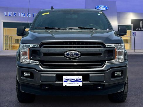 Certified 2019 Ford F150 XLT w/ Equipment Group 302A Luxury AWD/4WD image 2