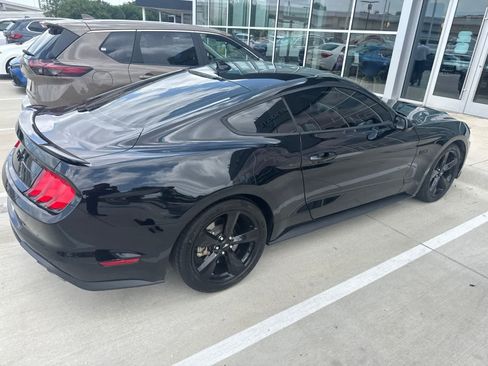 Used 2023 Ford Mustang GT Premium w/ Mustang Nite Pony Package RWD image 6