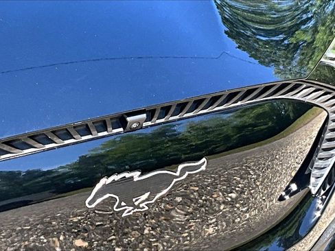 Used 2025 Ford Mustang Mach-E Select w/ Comfort Package Lite AWD/4WD image 30