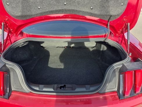 Used 2022 Ford Mustang GT w/ Equipment Group 301A image 8