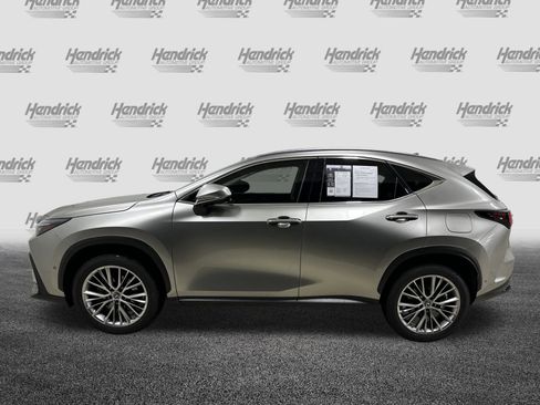 Used 2022 Lexus NX 350h AWD image 7