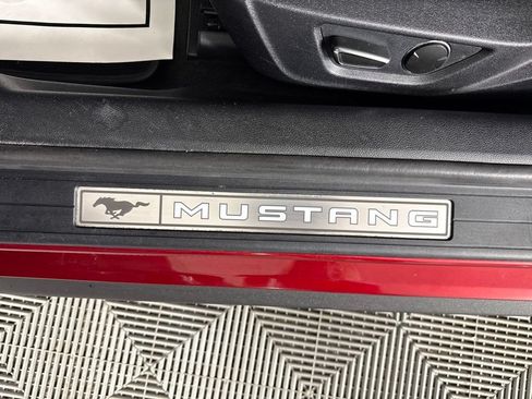 Used 2017 Ford Mustang Premium w/ Equipment Group 201A RWD image 14