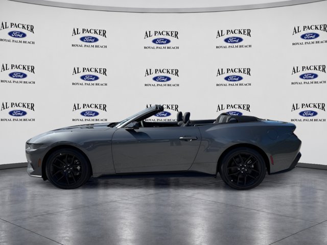 New 2026 Ford Mustang Convertible w/ Mustang Nite Pony Package RWD image 10