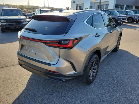 Used 2024 Lexus NX 250 250 Premium w/ Towing Package (2000 Lbs) image 5