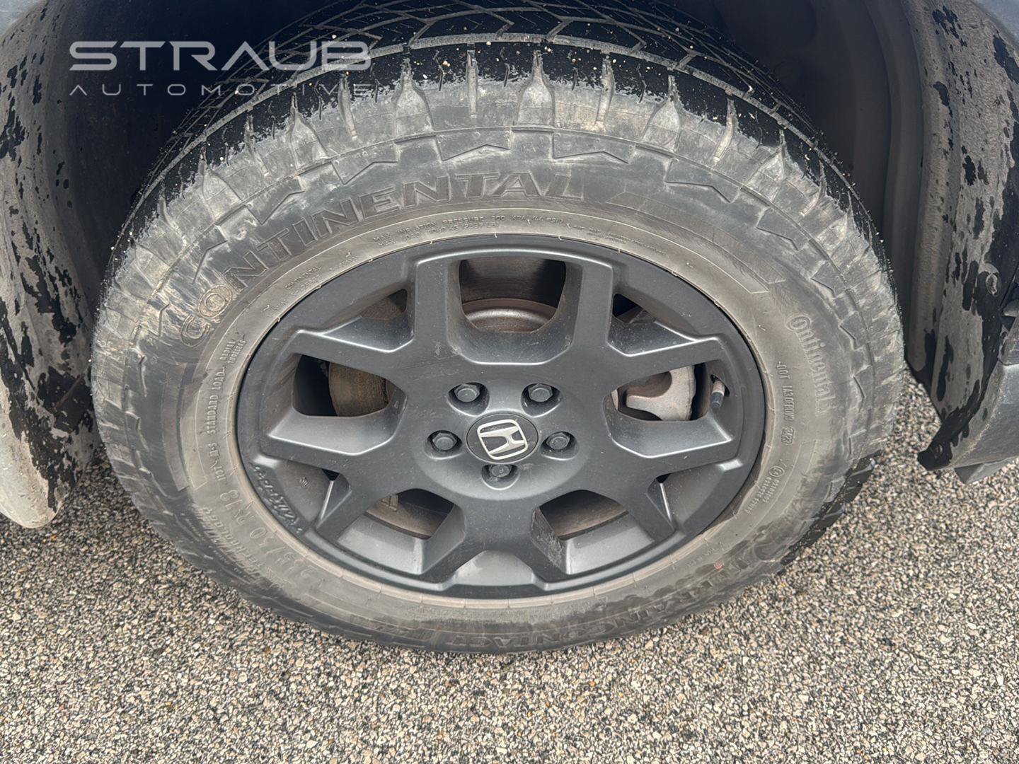 Used 2024 Honda Pilot TrailSport image 16