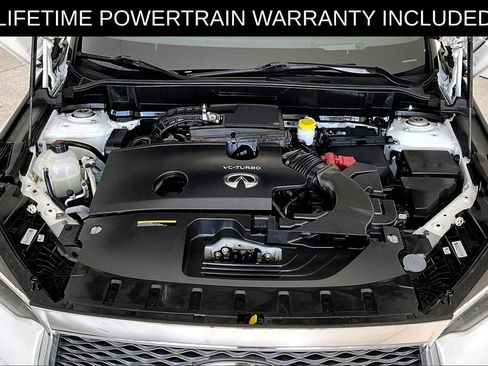 Certified 2023 INFINITI QX50 Autograph w/ Cargo Package AWD/4WD image 11