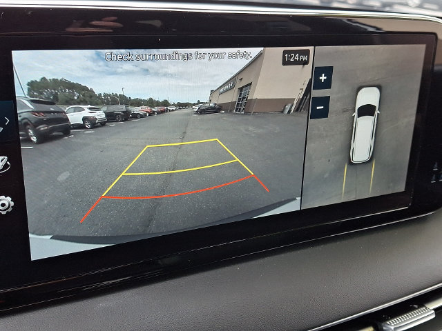Used 2025 Hyundai Palisade Calligraphy AWD/4WD image 19