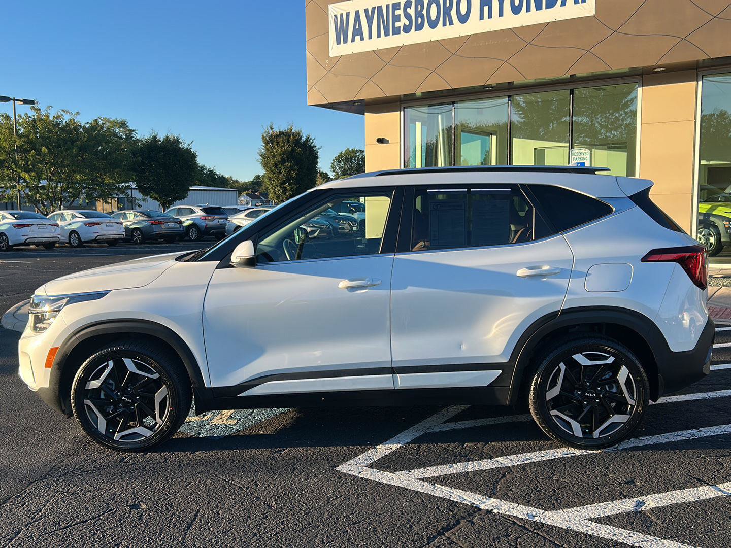 Used 2024 Kia Seltos SX w/ SX Sunroof Package AWD/4WD image 3