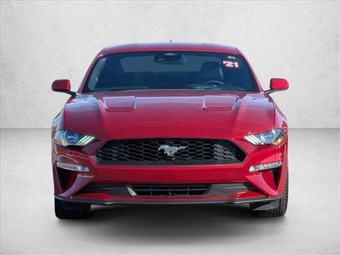 Used 2021 Ford Mustang Premium w/ Equipment Group 201A image 2