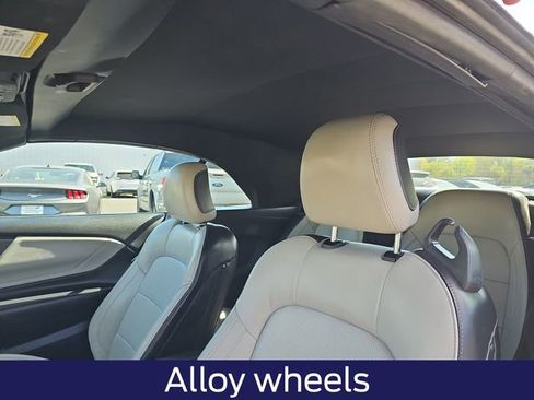 Used 2024 Ford Mustang Premium image 15