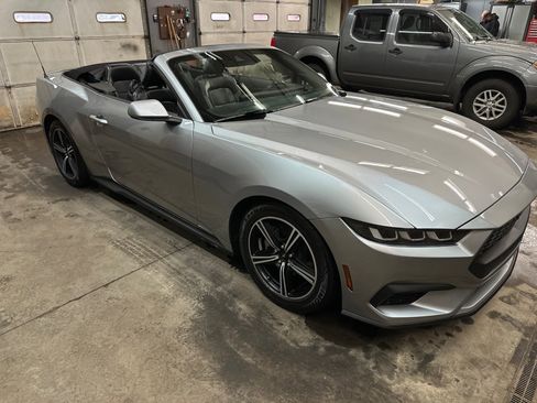 Used 2024 Ford Mustang Premium image 7