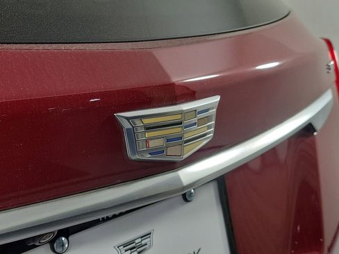 Used 2019 Cadillac XT5 Luxury image 7