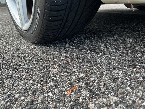 Used 2009 Mercedes-Benz E 350 E 350 4dr Sedan image 30