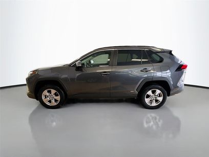 Used 2025 Toyota RAV4 XLE