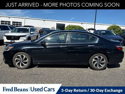 Used 2017 Honda Accord EX-L image 4