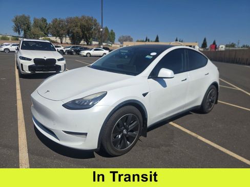 Used 2020 Tesla Model Y Long Range AWD/4WD image 1