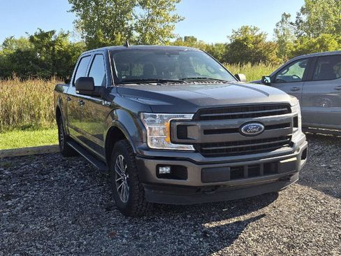Used 2019 Ford F150 XLT w/ Equipment Group 302A Luxury AWD/4WD image 2