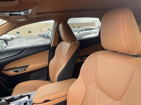 Used 2025 Lexus NX 350h AWD w/ Cold Area Package image 5