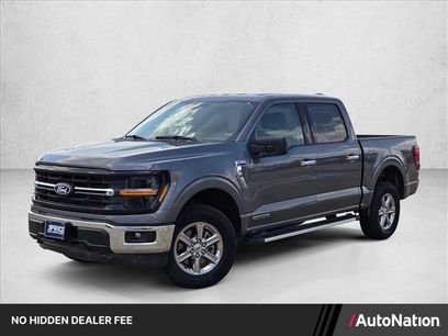 Used 2025 Ford F150 XLT w/ Equipment Group 301A Standard