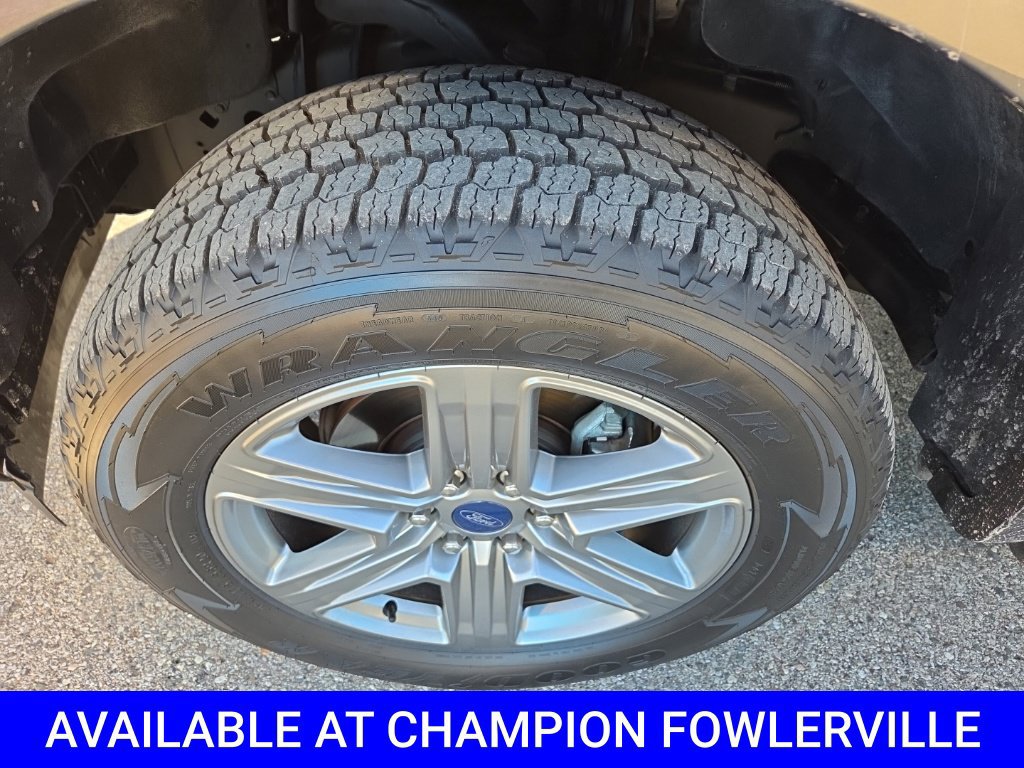Used 2019 Ford F150 XLT w/ Equipment Group 302A Luxury AWD/4WD image 12
