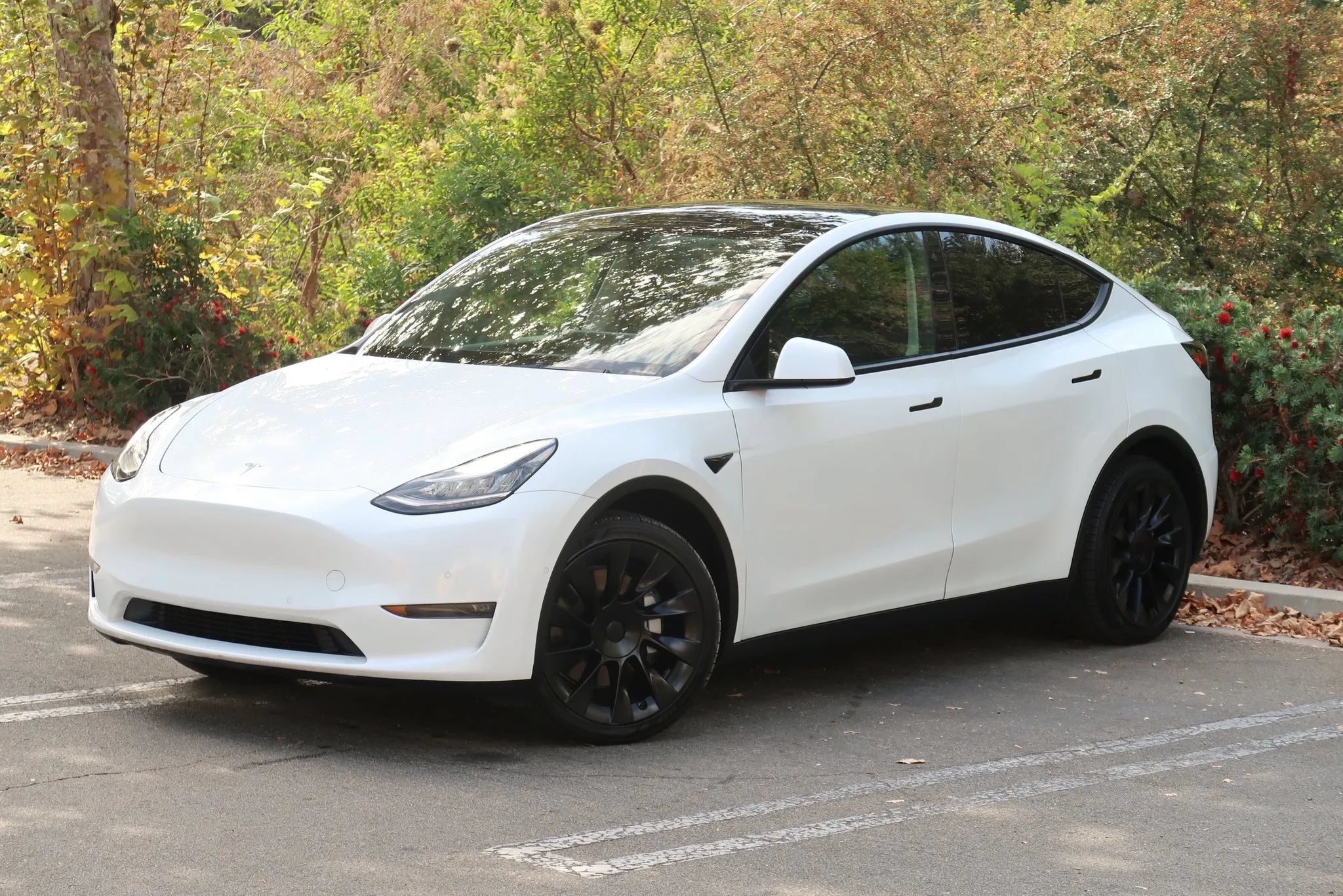 Used 2021 Tesla Model Y Long Range AWD/4WD image 4