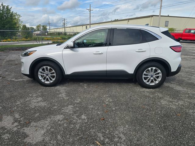 Used 2020 Ford Escape SE FWD image 7