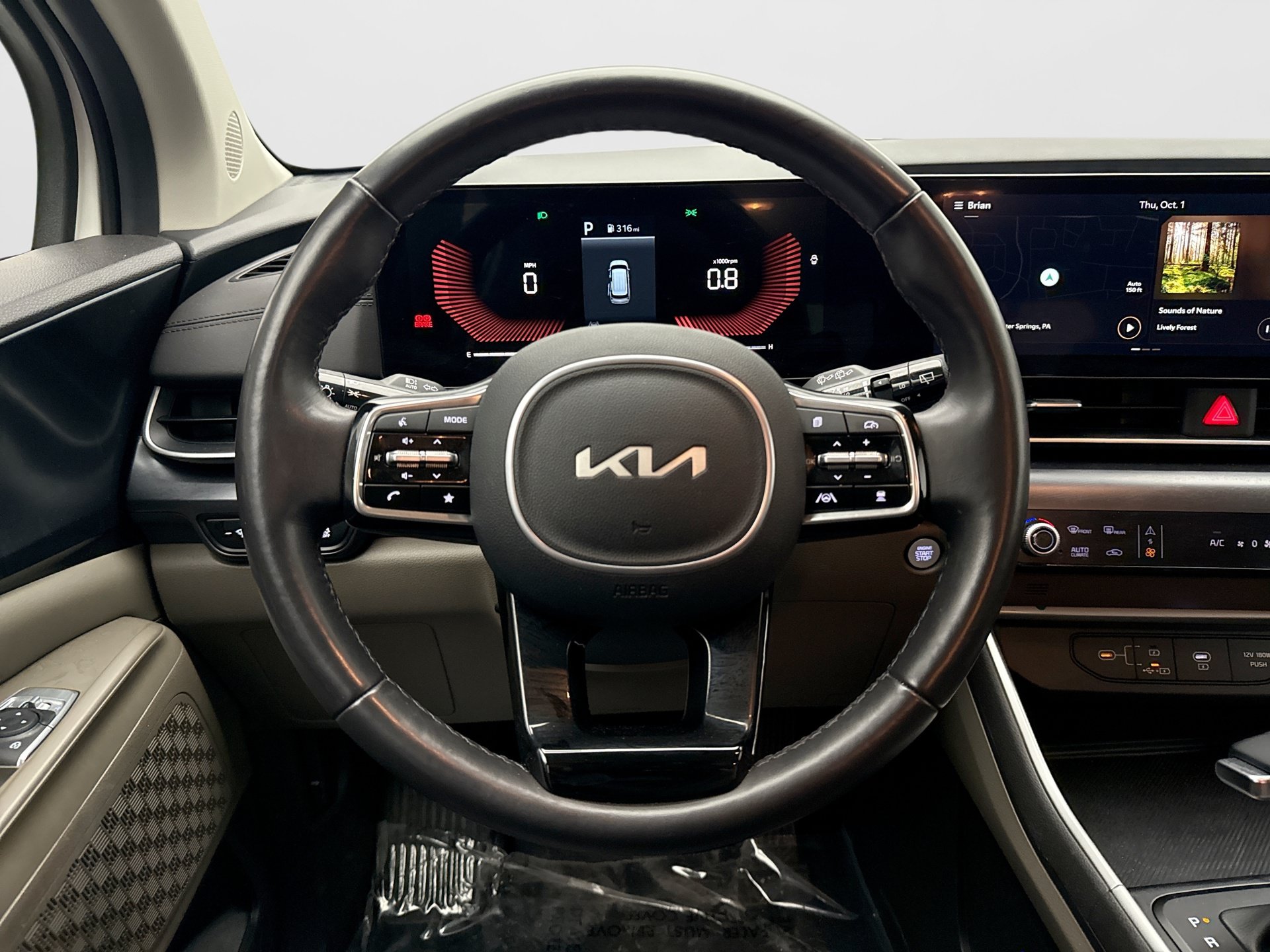 Used 2025 Kia Carnival FWD image 12